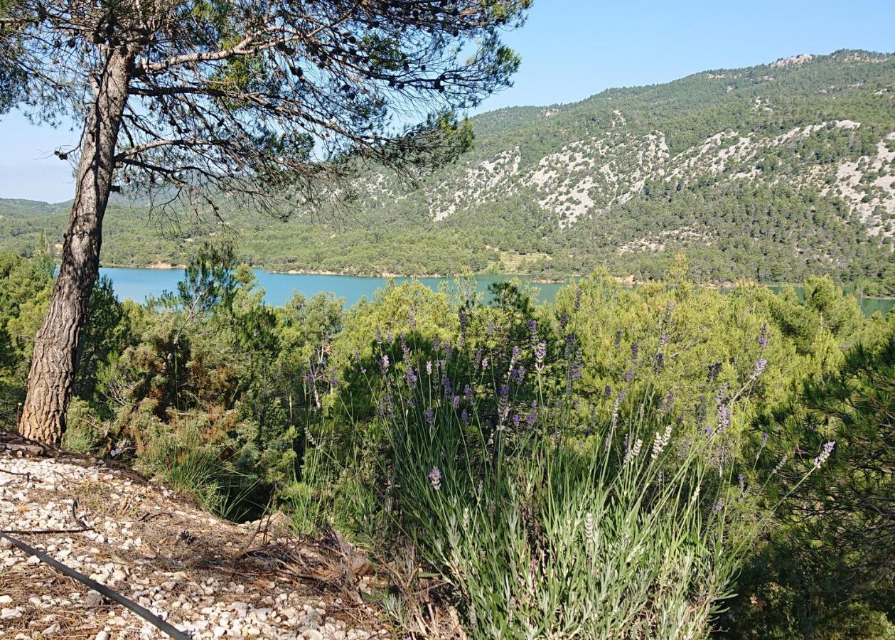 Casa El Pinar