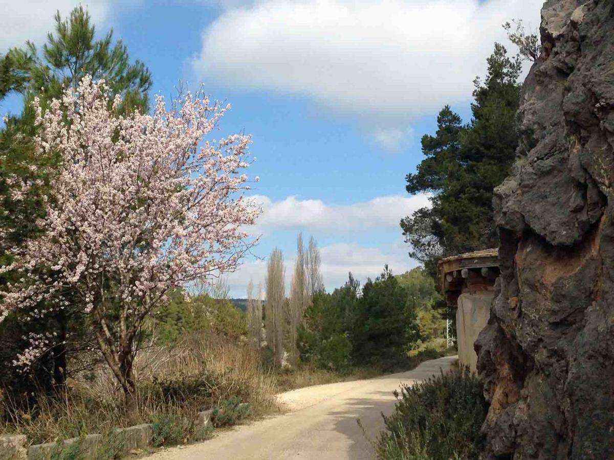 Hébergement de vacances Casa El Pinar *