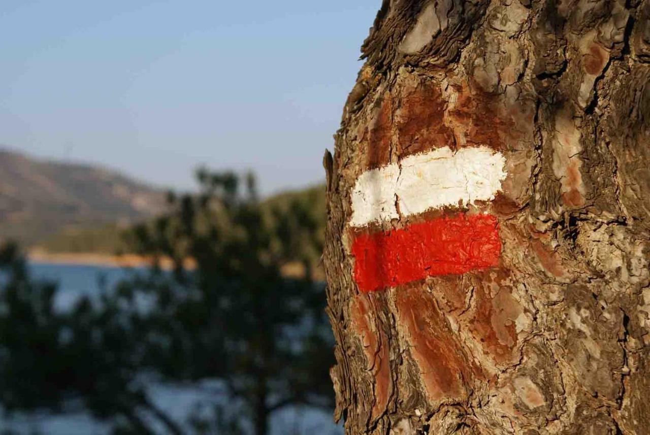 Hébergement de vacances Casa El Pinar